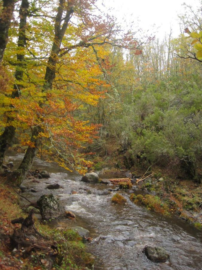 Alojamientos El Horno Montejo de la Sierra Εξωτερικό φωτογραφία