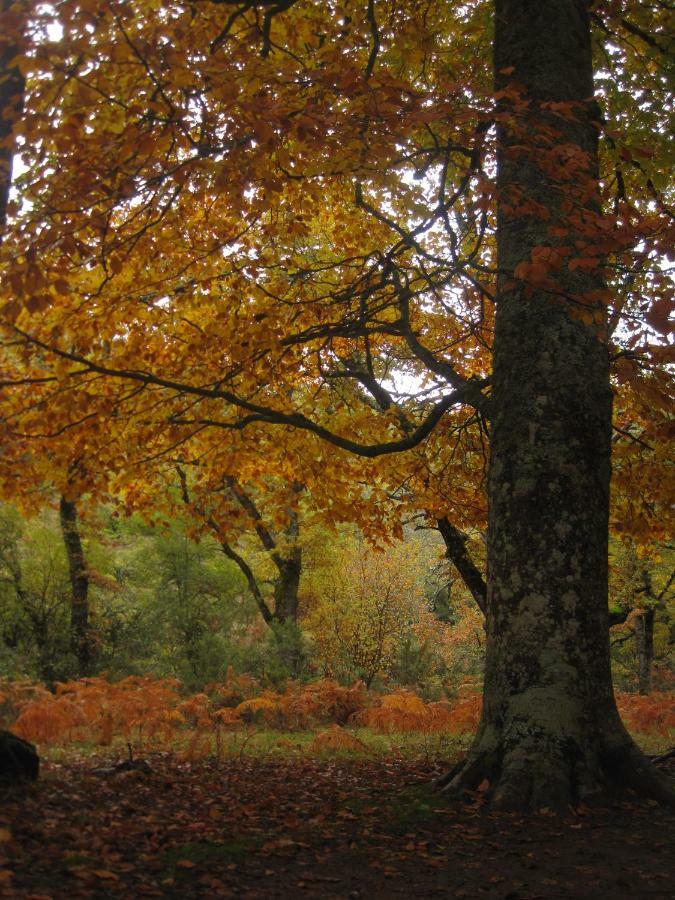 Alojamientos El Horno Montejo de la Sierra Εξωτερικό φωτογραφία